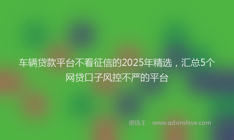 车辆贷款平台不看征信的2025年精选，汇总5个网贷口子风控不严的平台