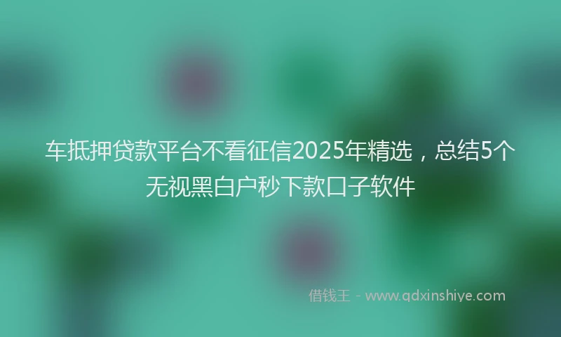 车抵押贷款平台不看征信2025年精选，总结5个无视黑白户秒下款口子软件