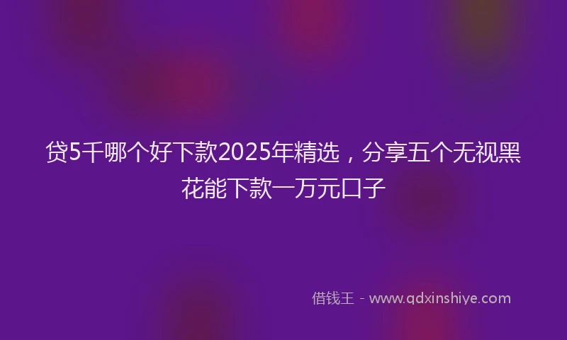 贷5千哪个好下款2025年精选，分享五个无视黑花能下款一万元口子