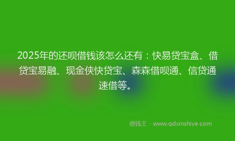 2025年的还呗借钱该怎么还有：快易贷宝盒、借贷宝易融、现金侠快贷宝、森森借呗通、信贷通速借等。