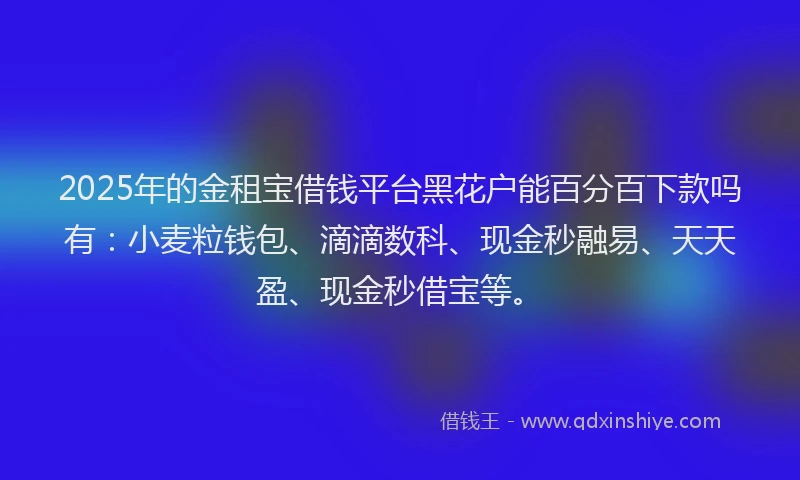 2025年的金租宝借钱平台黑花户能百分百下款吗有：小麦粒钱包、滴滴数科、现金秒融易、天天盈、现金秒借宝等。