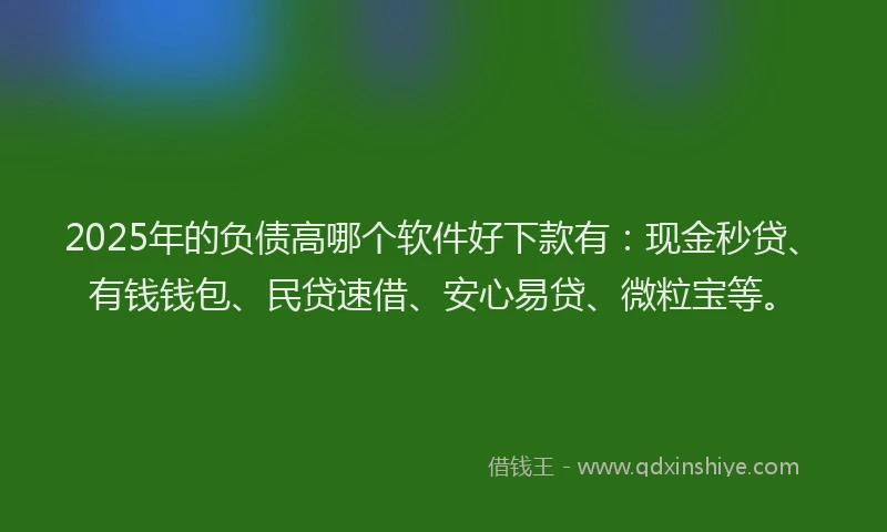 2025年的负债高哪个软件好下款有：现金秒贷、有钱钱包、民贷速借、安心易贷、微粒宝等。