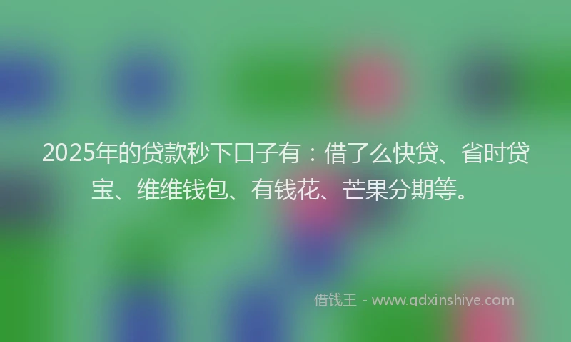 2025年的贷款秒下口子有：借了么快贷、省时贷宝、维维钱包、有钱花、芒果分期等。