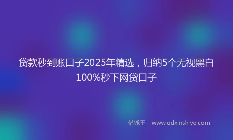 贷款秒到账口子2025年精选，归纳5个无视黑白100%秒下网贷口子
