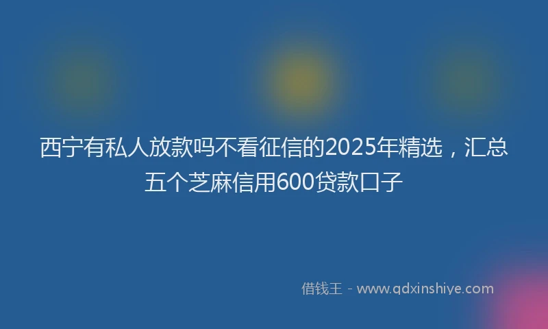 西宁有私人放款吗不看征信的2025年精选，汇总五个芝麻信用600贷款口子