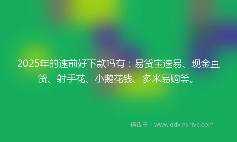 2025年的速前好下款吗有：易贷宝速易、现金直贷、射手花、小鹅花钱、多米易购等。