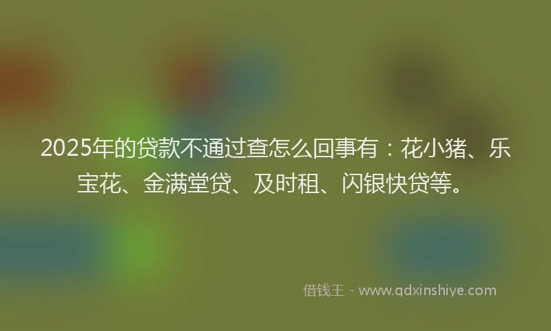 2025年的贷款不通过查怎么回事有：花小猪、乐宝花、金满堂贷、及时租、闪银快贷等。