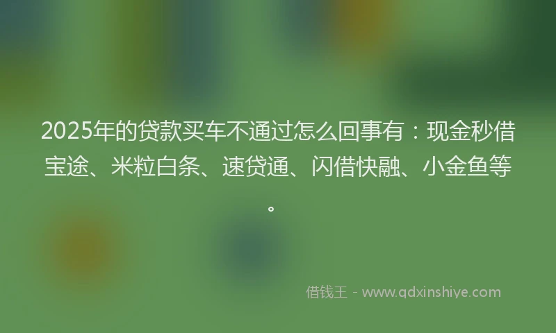 2025年的贷款买车不通过怎么回事有：现金秒借宝途、米粒白条、速贷通、闪借快融、小金鱼等。