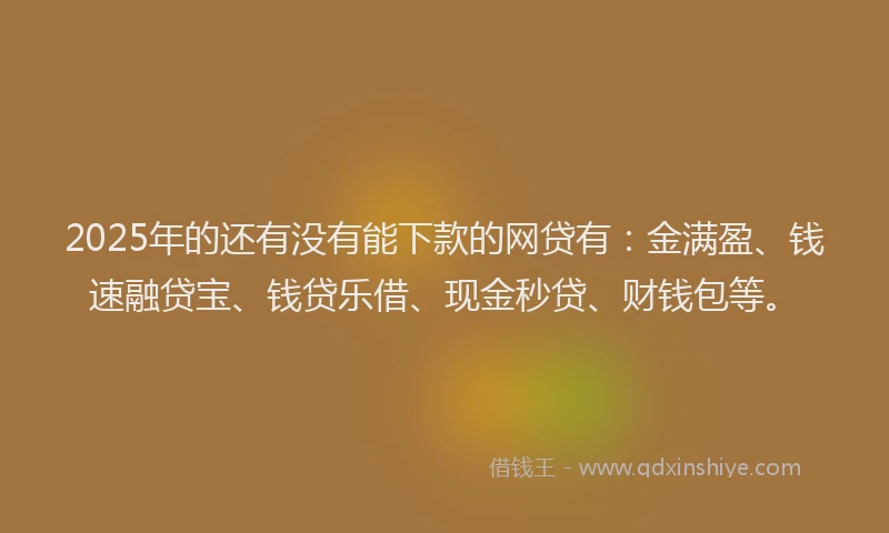 2025年的还有没有能下款的网贷有：金满盈、钱速融贷宝、钱贷乐借、现金秒贷、财钱包等。