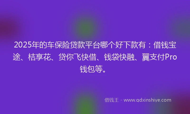 2025年的车保险贷款平台哪个好下款有：借钱宝途、桔享花、贷你飞快借、钱袋快融、翼支付Pro钱包等。