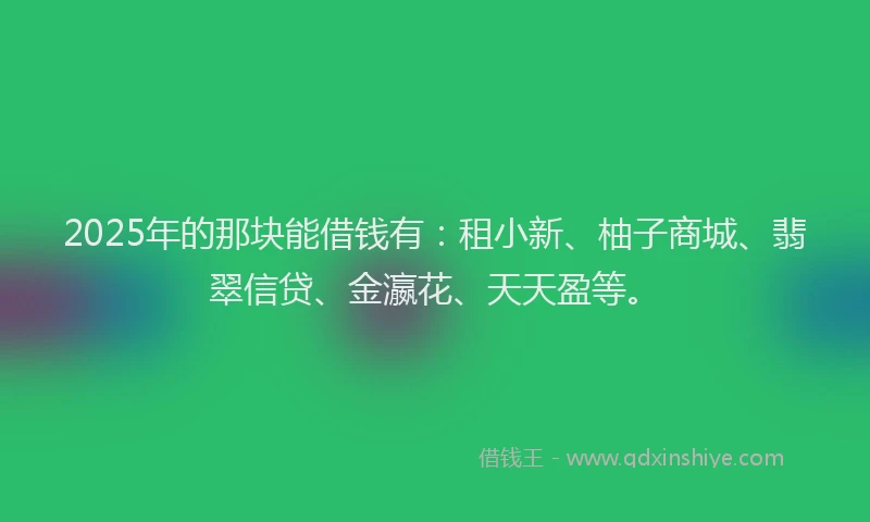 2025年的那块能借钱有：租小新、柚子商城、翡翠信贷、金瀛花、天天盈等。