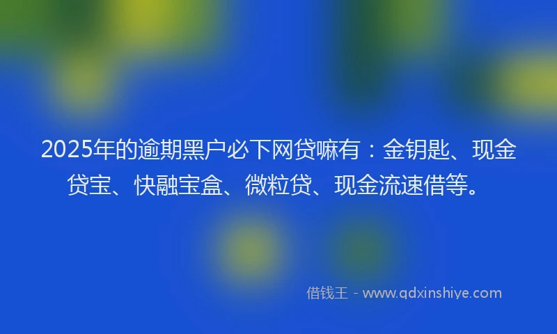 2025年的逾期黑户必下网贷嘛有：金钥匙、现金贷宝、快融宝盒、微粒贷、现金流速借等。