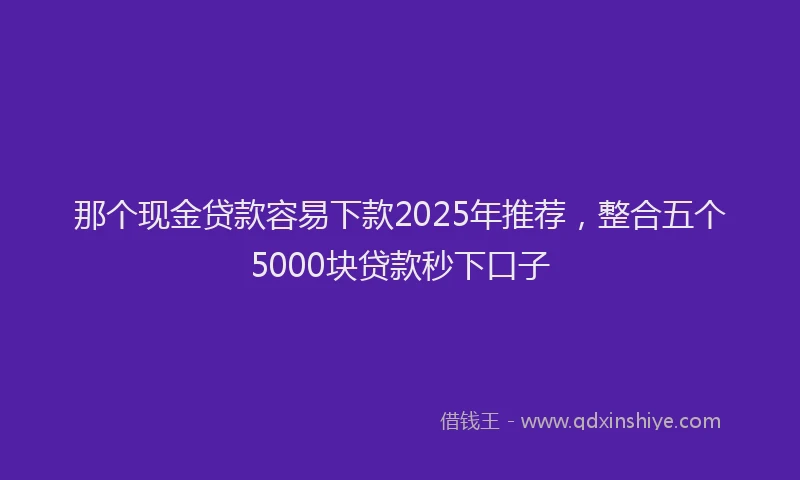 那个现金贷款容易下款2025年推荐，整合五个5000块贷款秒下口子