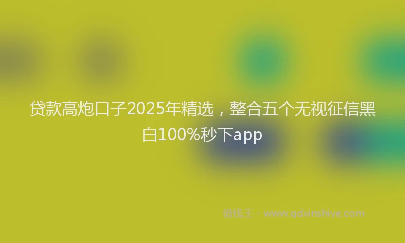 贷款高炮口子2025年精选，整合五个无视征信黑白100%秒下app