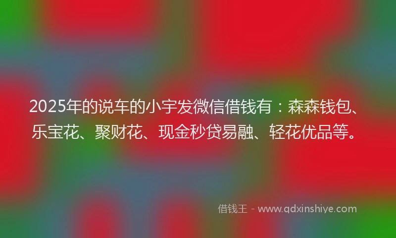 2025年的说车的小宇发微信借钱有：森森钱包、乐宝花、聚财花、现金秒贷易融、轻花优品等。