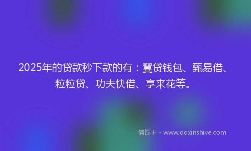 2025年的贷款秒下款的有：翼贷钱包、甄易借、粒粒贷、功夫快借、享来花等。