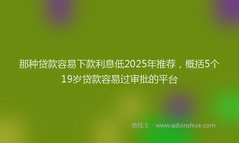 那种贷款容易下款利息低2025年推荐，概括5个19岁贷款容易过审批的平台