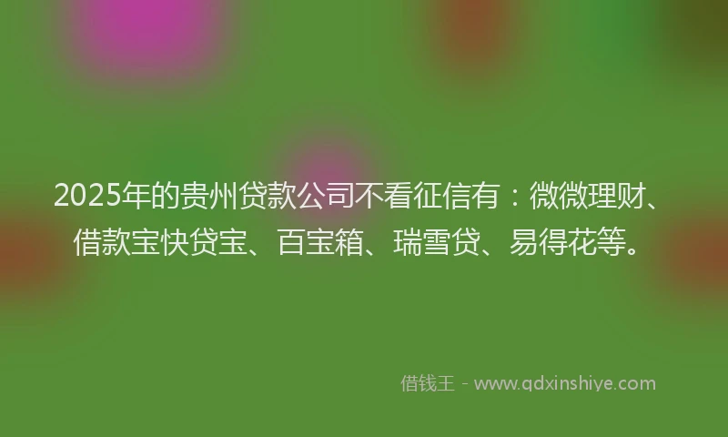 2025年的贵州贷款公司不看征信有：微微理财、借款宝快贷宝、百宝箱、瑞雪贷、易得花等。