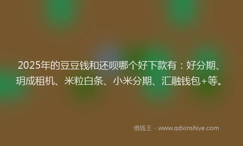 2025年的豆豆钱和还呗哪个好下款有：好分期、玥成租机、米粒白条、小米分期、汇融钱包+等。