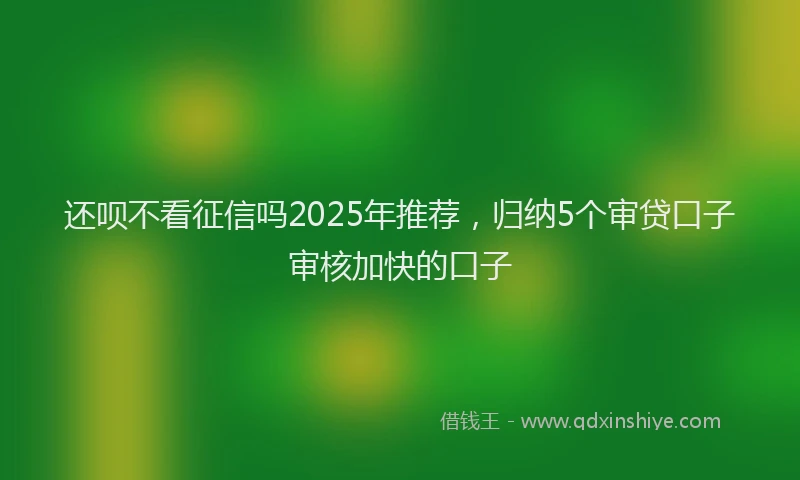 还呗不看征信吗2025年推荐，归纳5个审贷口子审核加快的口子