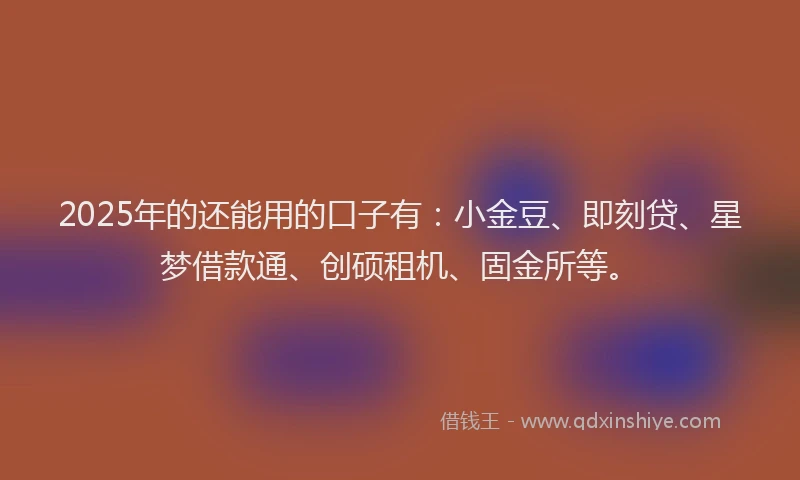 2025年的还能用的口子有：小金豆、即刻贷、星梦借款通、创硕租机、固金所等。