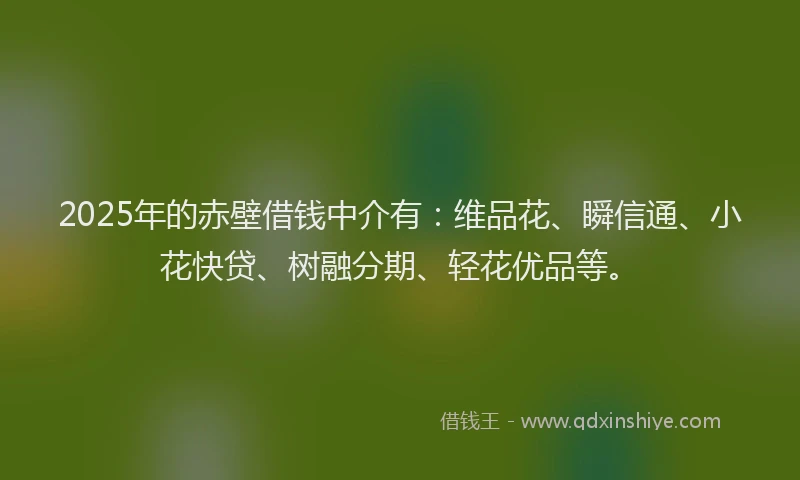 2025年的赤壁借钱中介有：维品花、瞬信通、小花快贷、树融分期、轻花优品等。
