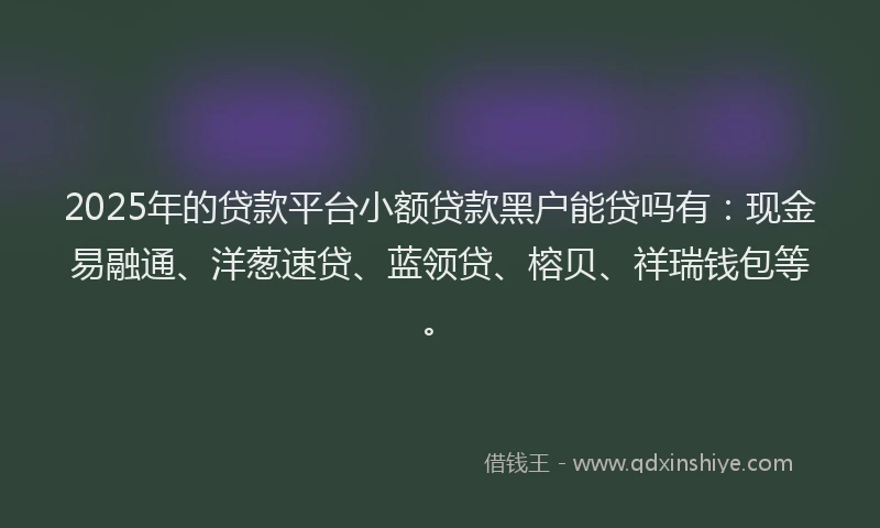 2025年的贷款平台小额贷款黑户能贷吗有：现金易融通、洋葱速贷、蓝领贷、榕贝、祥瑞钱包等。