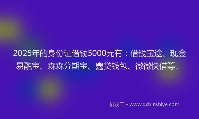2025年的身份证借钱5000元有：借钱宝途、现金易融宝、森森分期宝、鑫贷钱包、微微快借等。