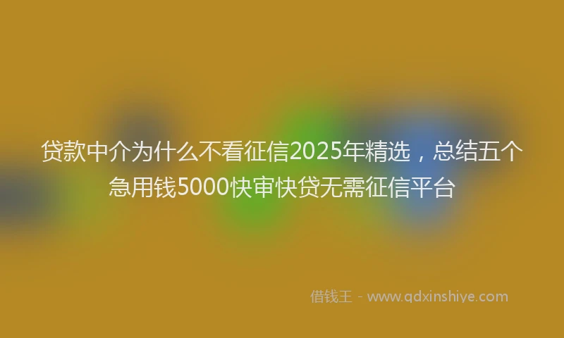 贷款中介为什么不看征信2025年精选，总结五个急用钱5000快审快贷无需征信平台