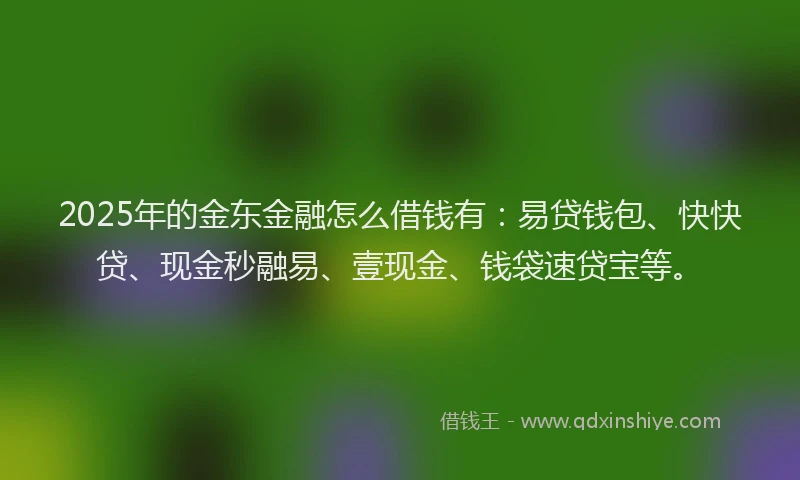 2025年的金东金融怎么借钱有：易贷钱包、快快贷、现金秒融易、壹现金、钱袋速贷宝等。