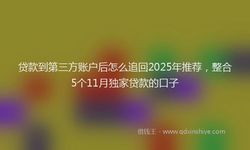 贷款到第三方账户后怎么追回2025年推荐，整合5个11月独家贷款的口子