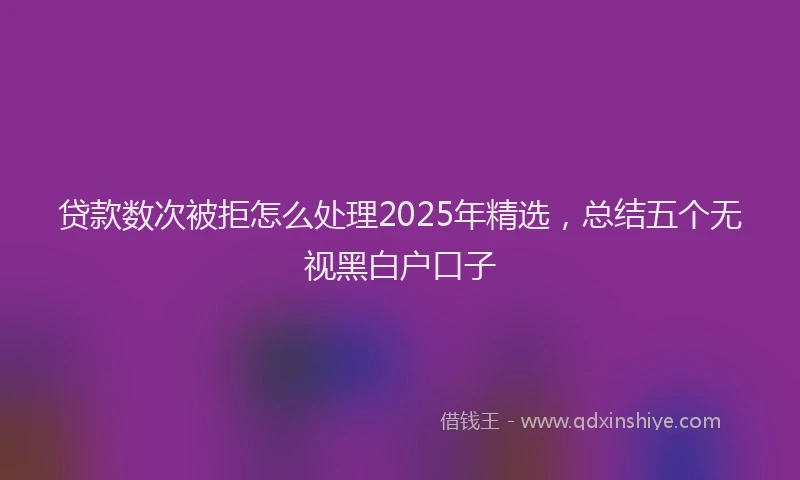 贷款数次被拒怎么处理2025年精选，总结五个无视黑白户口子