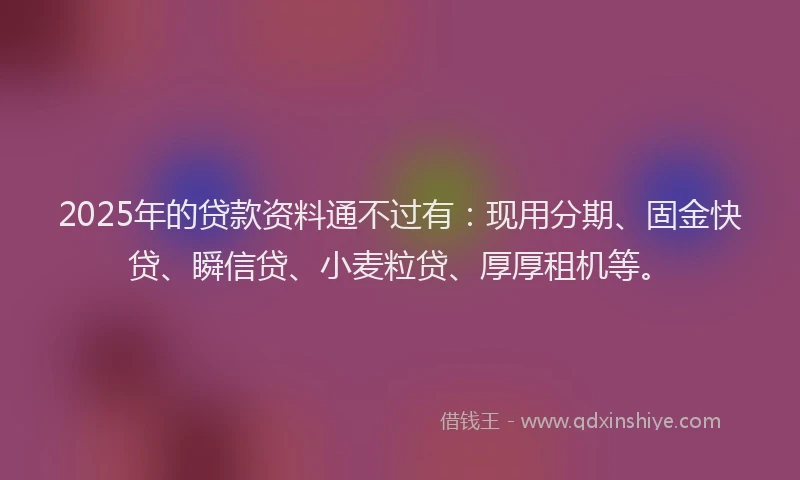 2025年的贷款资料通不过有：现用分期、固金快贷、瞬信贷、小麦粒贷、厚厚租机等。