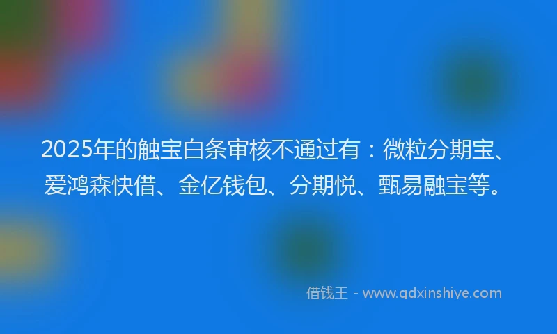2025年的触宝白条审核不通过有：微粒分期宝、爱鸿森快借、金亿钱包、分期悦、甄易融宝等。