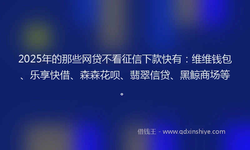 2025年的那些网贷不看征信下款快有：维维钱包、乐享快借、森森花呗、翡翠信贷、黑鲸商场等。