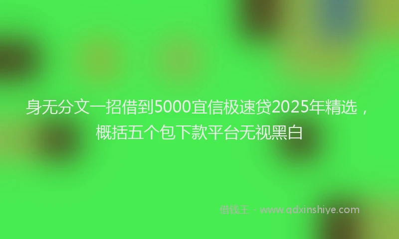 身无分文一招借到5000宜信极速贷2025年精选，概括五个包下款平台无视黑白