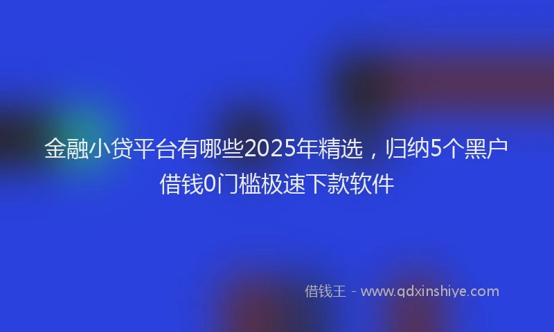 金融小贷平台有哪些2025年精选，归纳5个黑户借钱0门槛极速下款软件