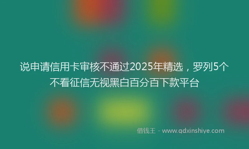 说申请信用卡审核不通过2025年精选，罗列5个不看征信无视黑白百分百下款平台