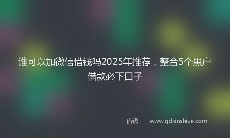 谁可以加微信借钱吗2025年推荐，整合5个黑户借款必下口子