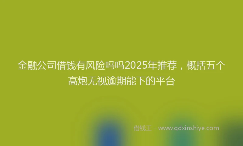 金融公司借钱有风险吗吗2025年推荐，概括五个高炮无视逾期能下的平台