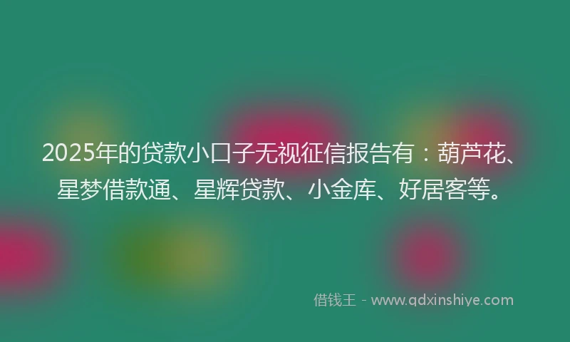 2025年的贷款小口子无视征信报告有：葫芦花、星梦借款通、星辉贷款、小金库、好居客等。