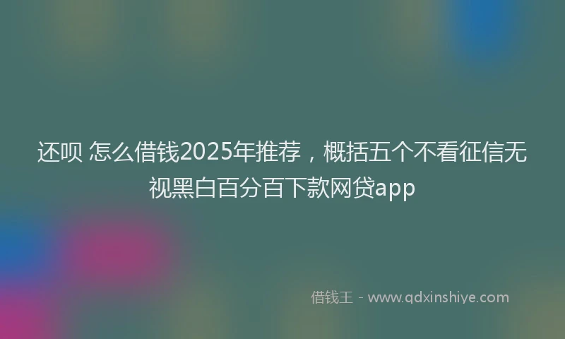 还呗 怎么借钱2025年推荐，概括五个不看征信无视黑白百分百下款网贷app
