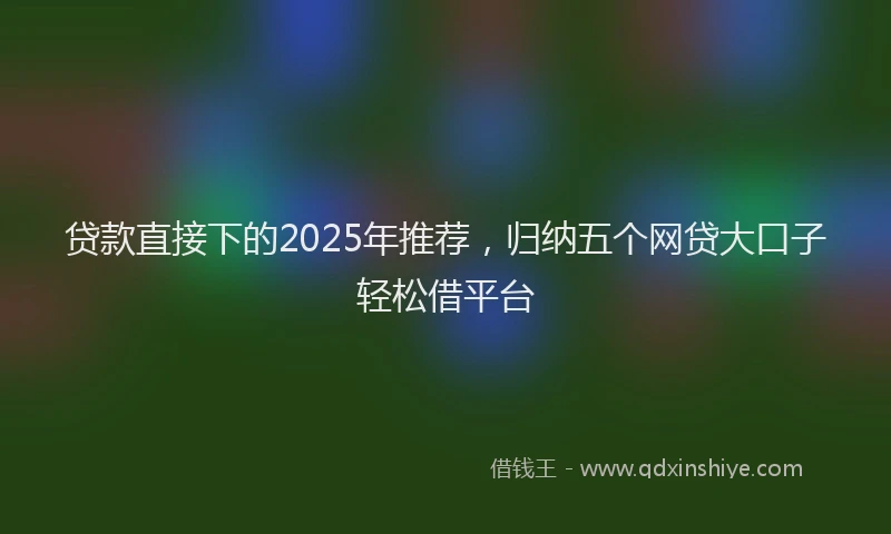 贷款直接下的2025年推荐，归纳五个网贷大口子轻松借平台