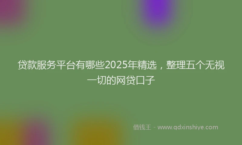 贷款服务平台有哪些2025年精选，整理五个无视一切的网贷口子