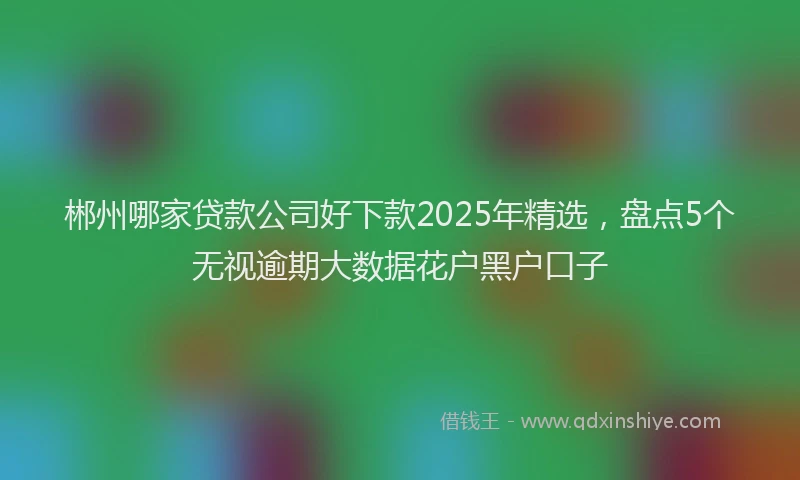 郴州哪家贷款公司好下款2025年精选，盘点5个无视逾期大数据花户黑户口子