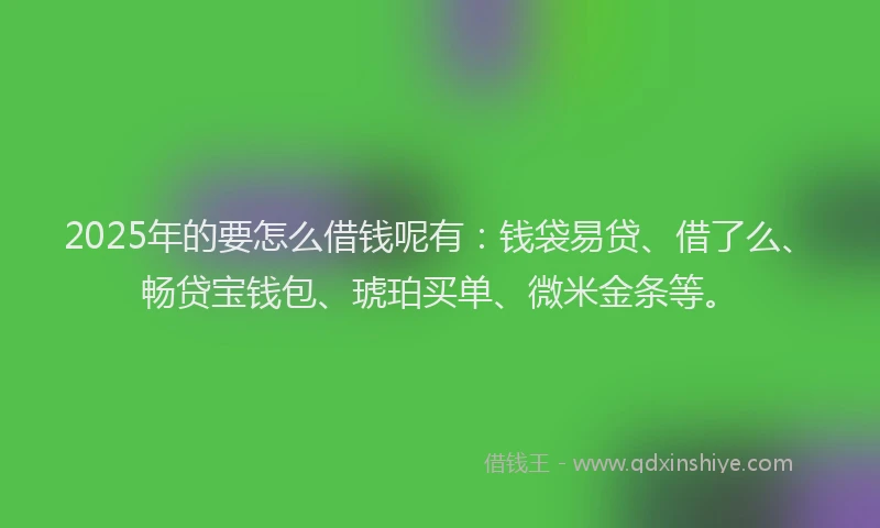 2025年的要怎么借钱呢有：钱袋易贷、借了么、畅贷宝钱包、琥珀买单、微米金条等。