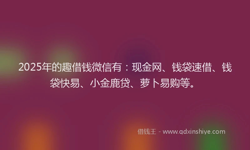 2025年的趣借钱微信有：现金网、钱袋速借、钱袋快易、小金鹿贷、萝卜易购等。