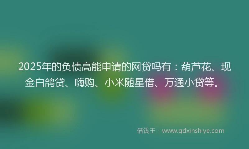2025年的负债高能申请的网贷吗有：葫芦花、现金白鸽贷、嗨购、小米随星借、万通小贷等。