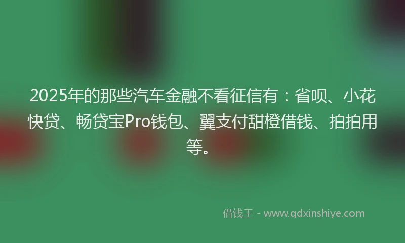 2025年的那些汽车金融不看征信有：省呗、小花快贷、畅贷宝Pro钱包、翼支付甜橙借钱、拍拍用等。