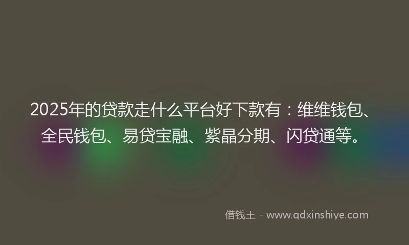 2025年的贷款走什么平台好下款有：维维钱包、全民钱包、易贷宝融、紫晶分期、闪贷通等。